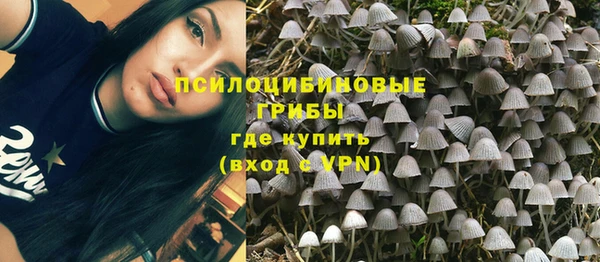 PSILOCYBIN Богородицк